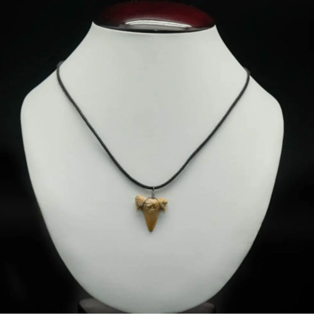 Shark Tooth Pendant With Black Cord Necklace